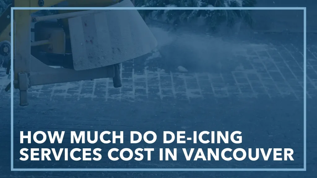 How much do de-icing services cost